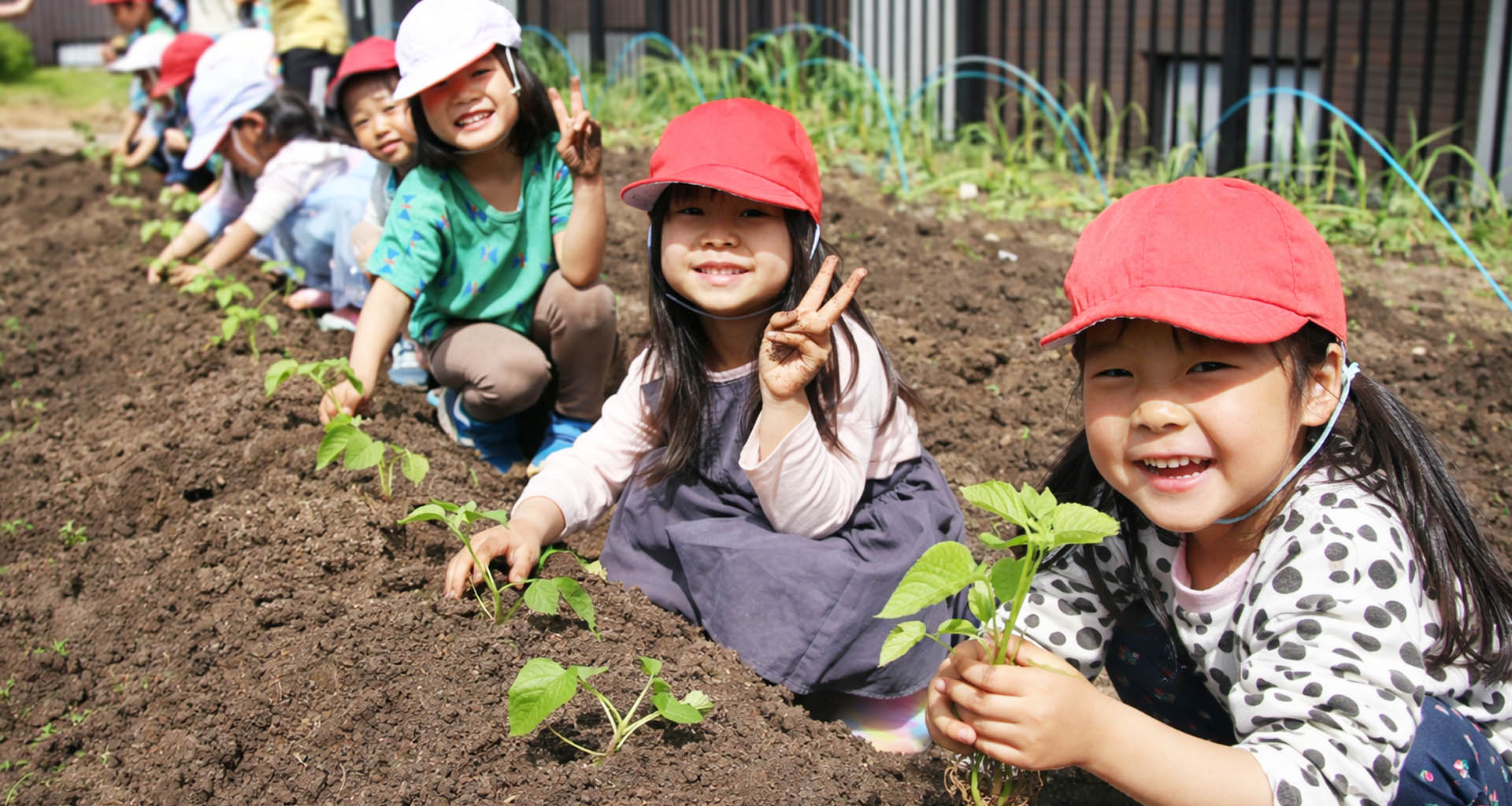 園で苗植えをする子どもたち